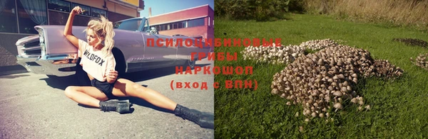 метамфетамин Богданович