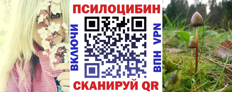 купить наркотики сайты  Казань  Галлюциногенные грибы мухоморы 